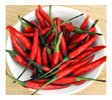 chicken curry